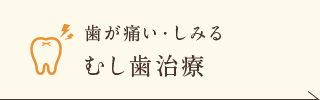 歯が痛い・しみる むし歯治療